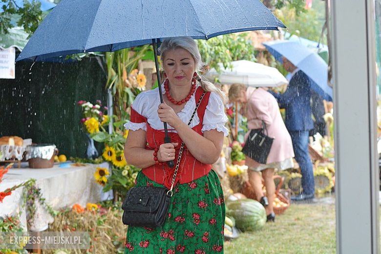 Dożynki w gminie Udanin