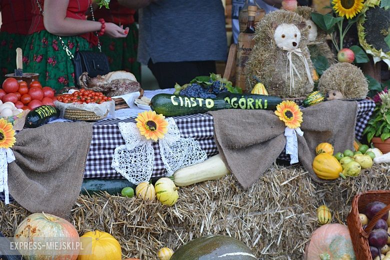 Dożynki w gminie Udanin