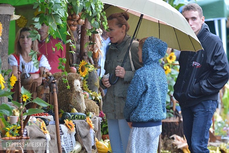 Dożynki w gminie Udanin