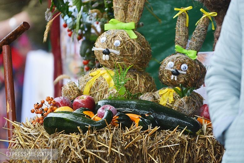 Dożynki w gminie Udanin