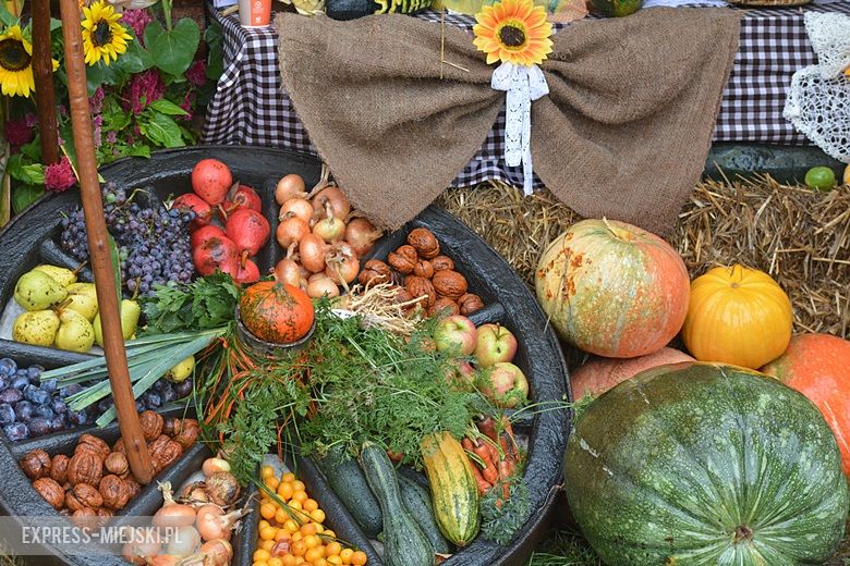 Dożynki w gminie Udanin