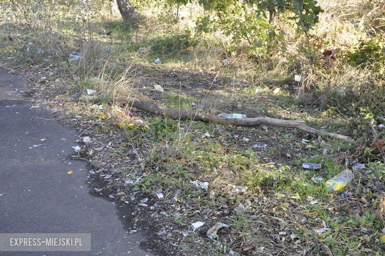 Skate park w Środzie Śląskiej