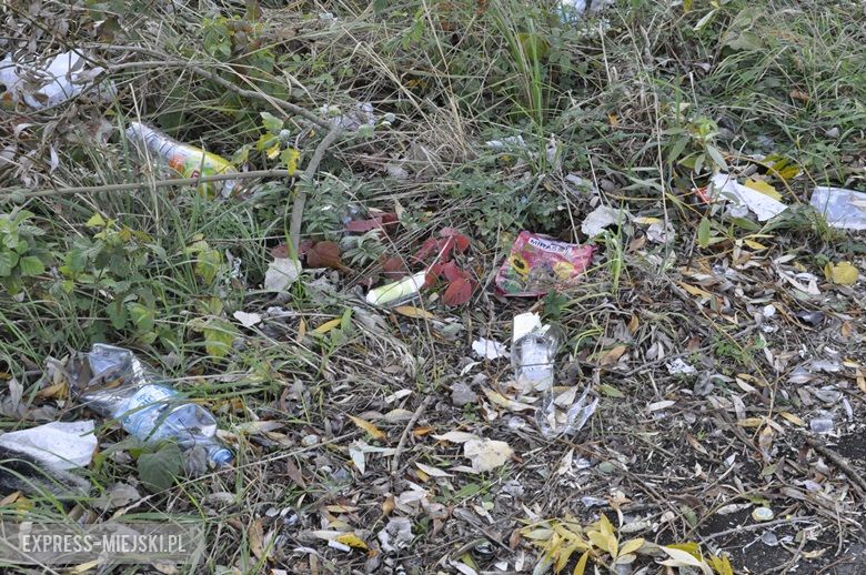 Skate park w Środzie Śląskiej