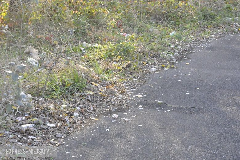 Skate park w Środzie Śląskiej