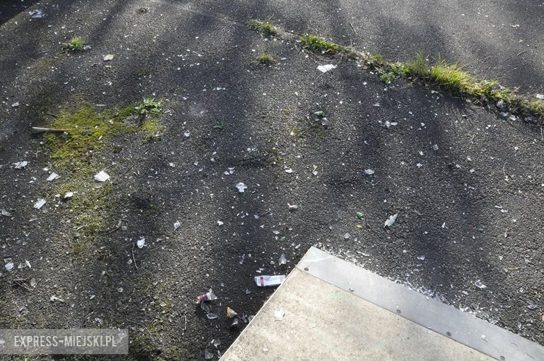 Skate park w Środzie Śląskiej