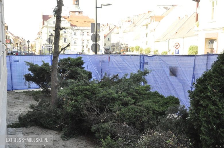 Wycięte krzewy przed budynkiem