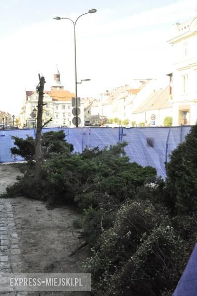 Wycięte krzewy przed budynkiem