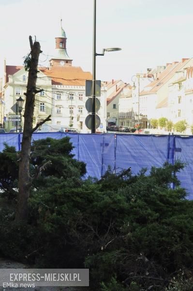 Wycięte krzewy przed budynkiem