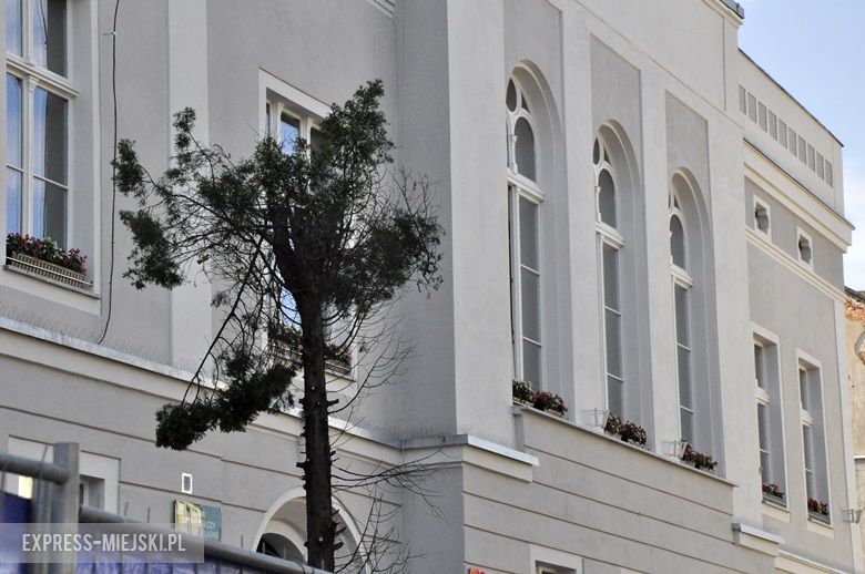 Wycięte krzewy przed budynkiem