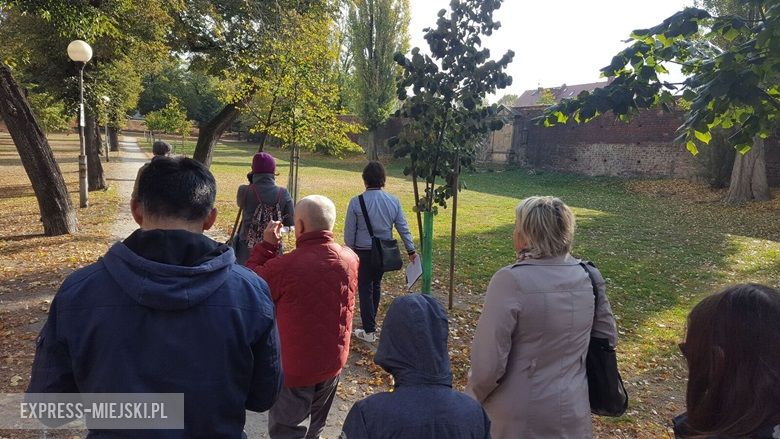 Spacer ulicami Środy Śląskiej