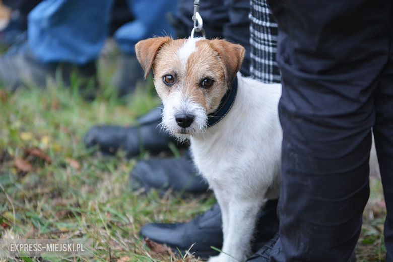 Hubertus 2018 w Gałowie
