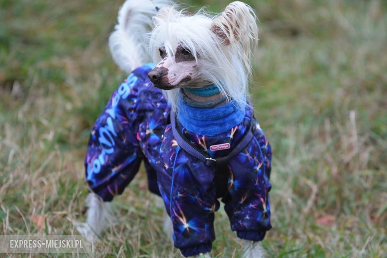 Hubertus 2018 w Gałowie