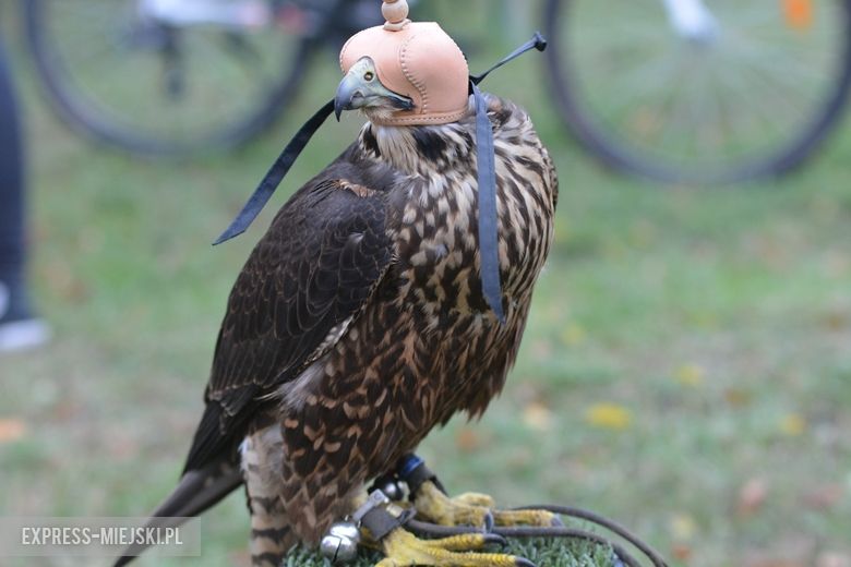 Hubertus 2018 w Gałowie