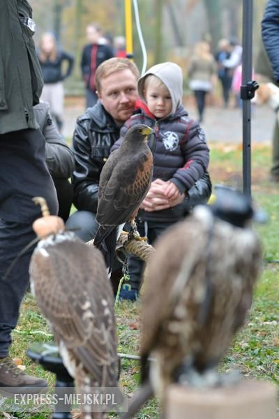 Hubertus 2018 w Gałowie