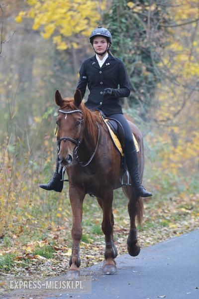 Hubertus 2018 w Gałowie