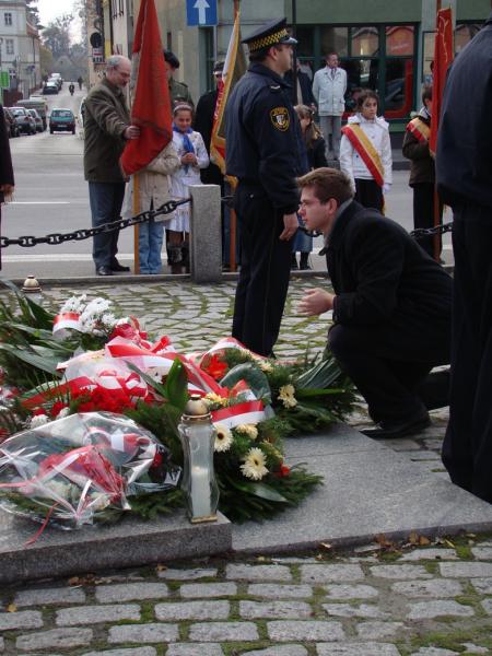 Obchody Święta Niepodległości w 2008 roku