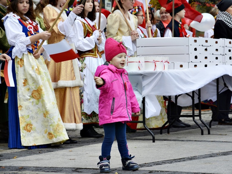 Obchody Święta Niepodległości w 2015 roku