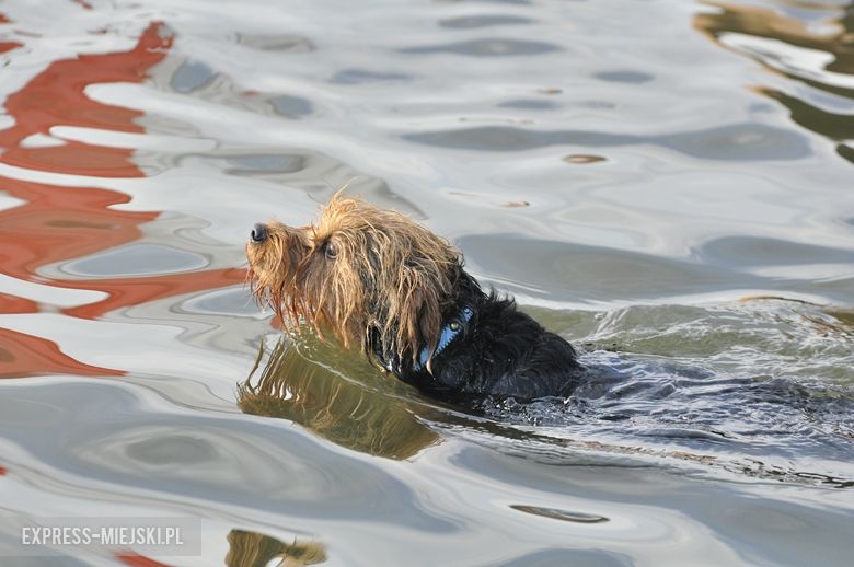 Morsowanie w Środzie Śląskiej na 100-lecie odzyskania niepodległości