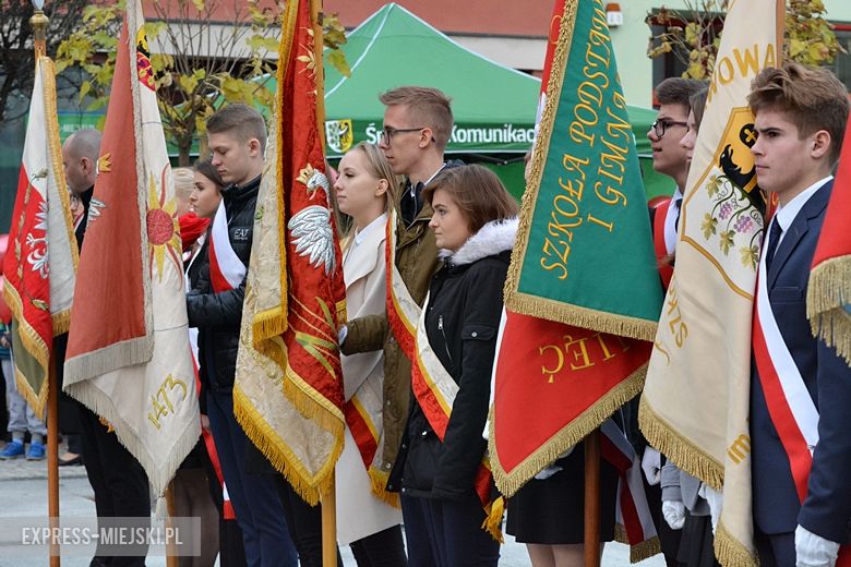 Powiatowe obchody Święta Niepodległości w Środzie Śląskiej