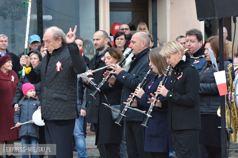 Powiatowe obchody Święta Niepodległości w Środzie Śląskiej