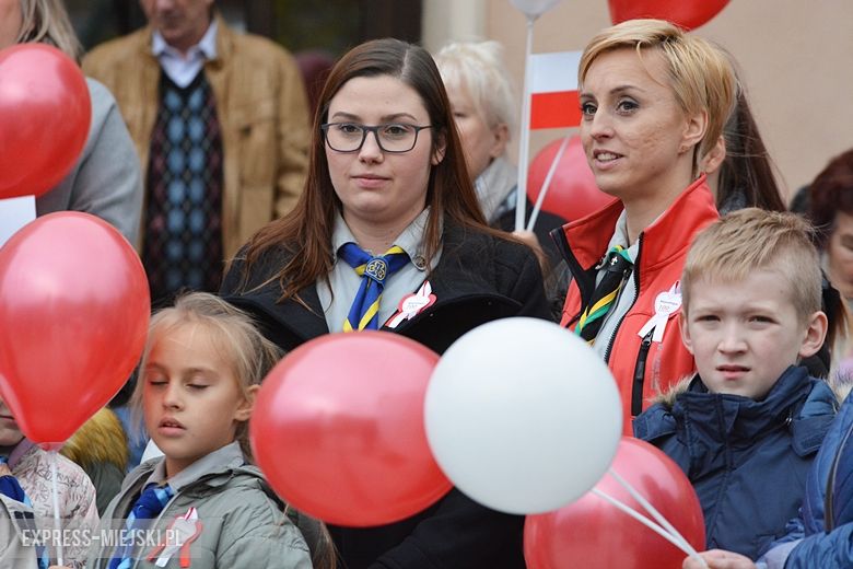 Powiatowe obchody Święta Niepodległości w Środzie Śląskiej