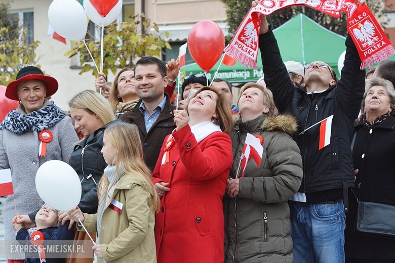 Powiatowe obchody Święta Niepodległości w Środzie Śląskiej