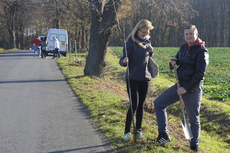 Sadzenie drzewek na terenie powiatu