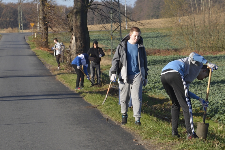 Sadzenie drzewek na terenie powiatu