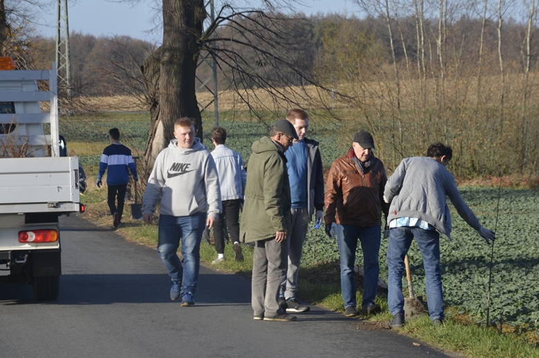 Sadzenie drzewek na terenie powiatu