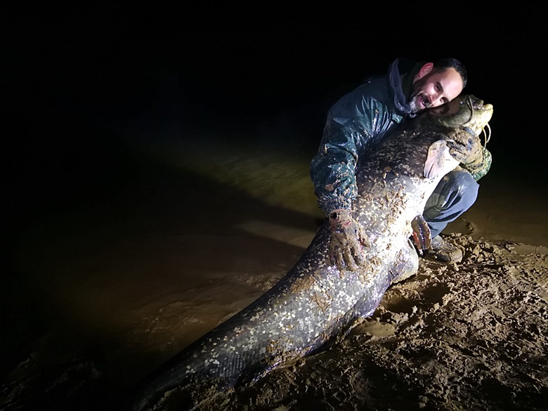 Andrzej Lech i złowiony ponad 2-metrowy sum