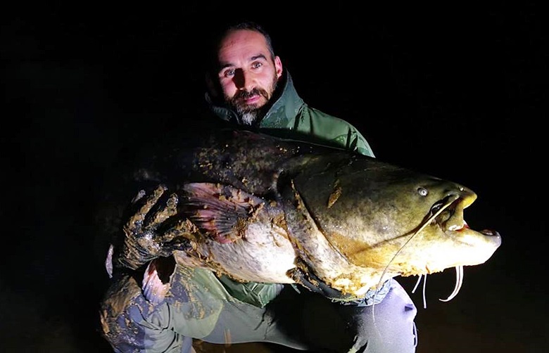 Andrzej Lech i złowiony ponad 2-metrowy sum