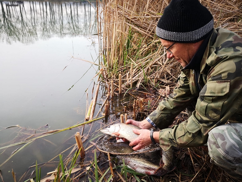 Zarybianie w powiecie średzkim