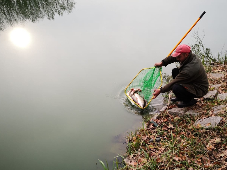 Zarybianie w powiecie średzkim