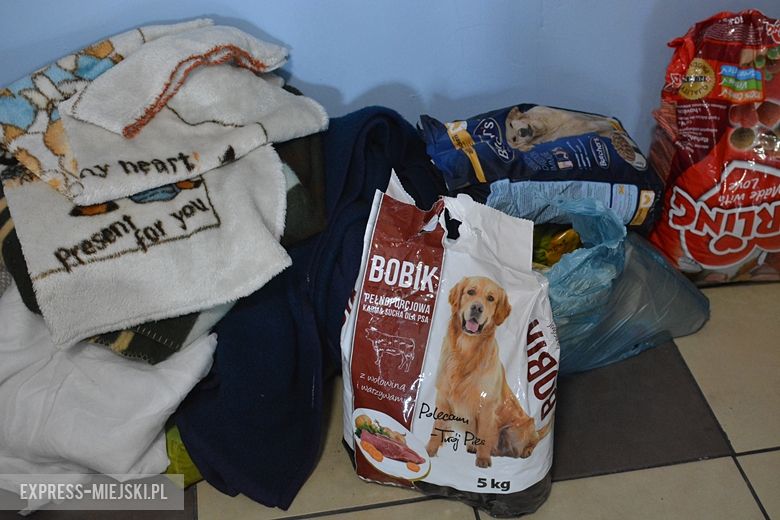 Licealiści przynieśli karmę dla stowarzyszenia