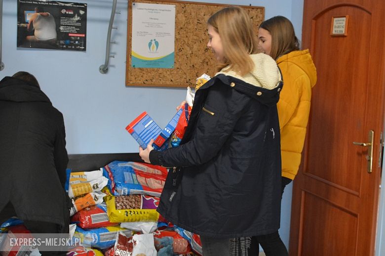 Licealiści przynieśli karmę dla stowarzyszenia