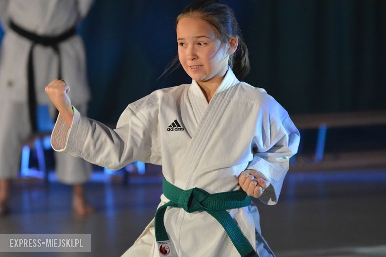 Kiermasz Bożonarodzeniowy w Miękini