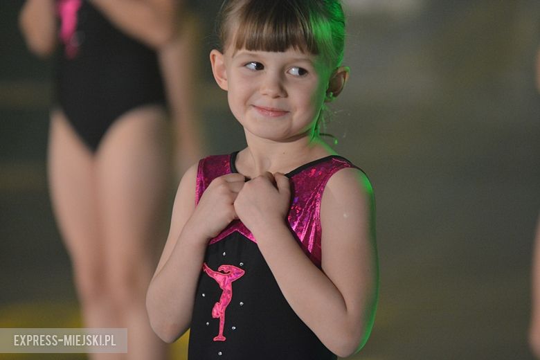 Kiermasz Bożonarodzeniowy w Miękini