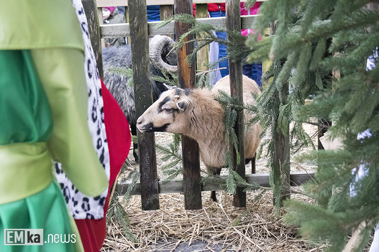 Orszak Trzech Króli w Malczycach