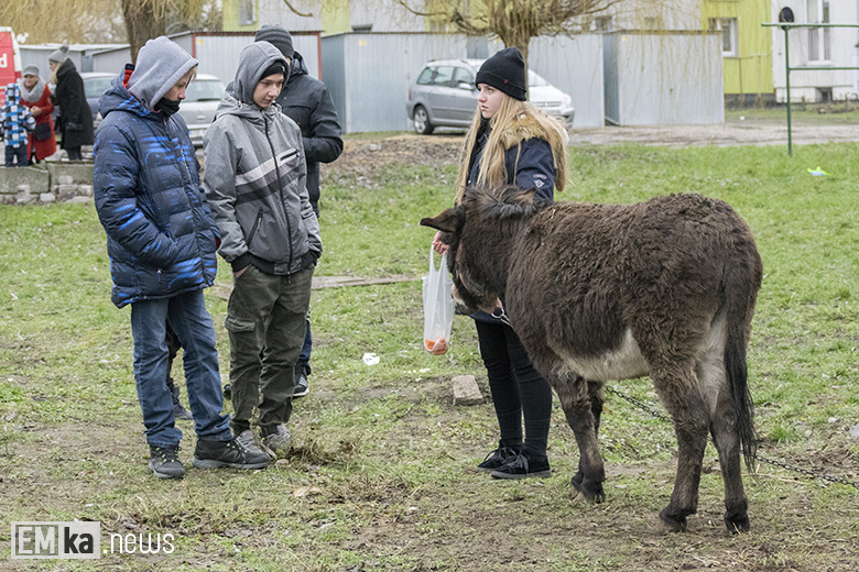 Orszak Trzech Króli w Malczycach