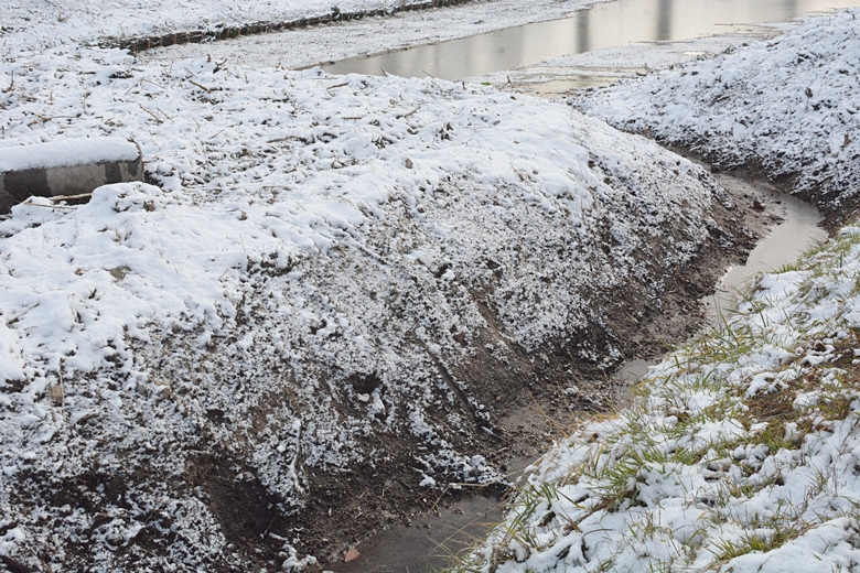 Staw w Rakoszycach po pierwszym etapie inwestycji