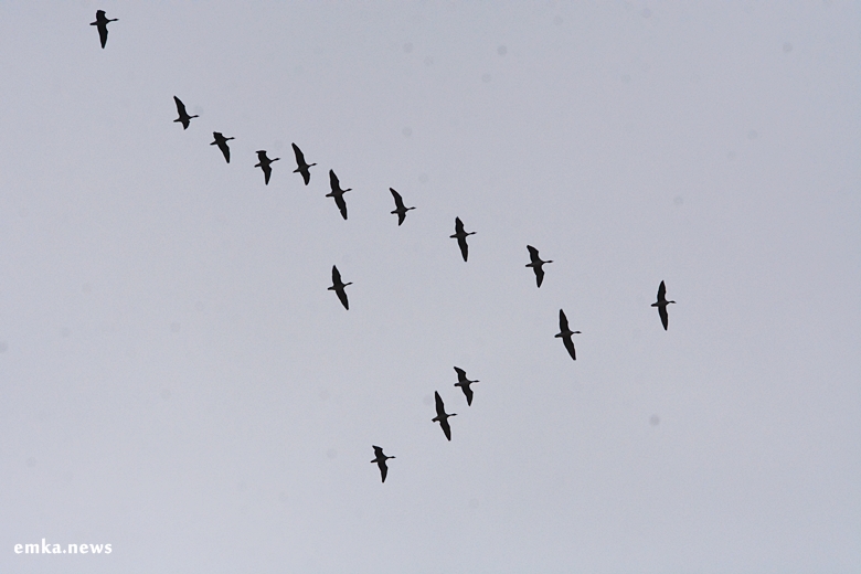 WOŚPowisko w Przedmościu