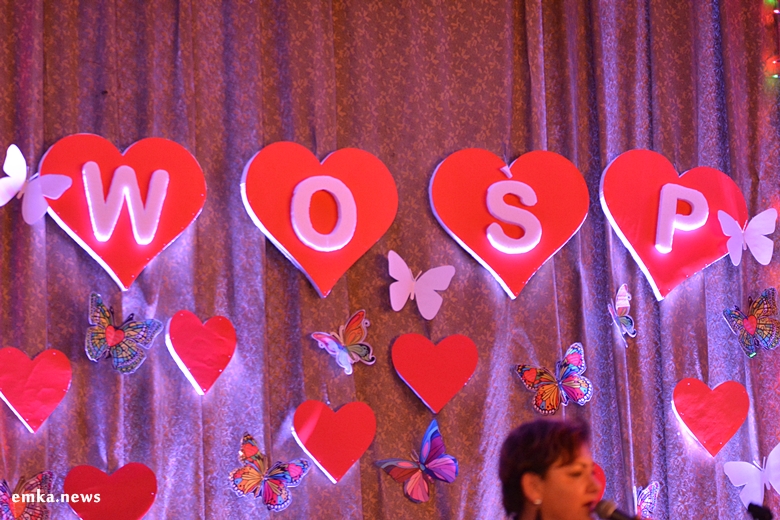 WOŚP w Kostomłotach