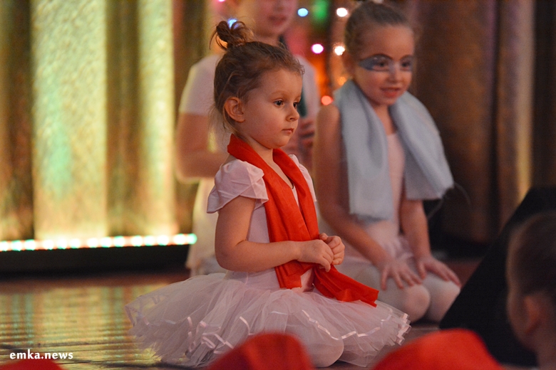 WOŚP w Kostomłotach