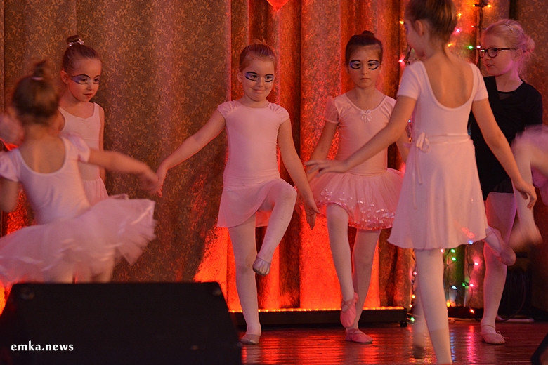 WOŚP w Kostomłotach