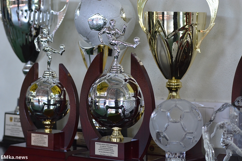 Mistrzostwa Radnych Dolnego Śląska w Środzie Śląskiej