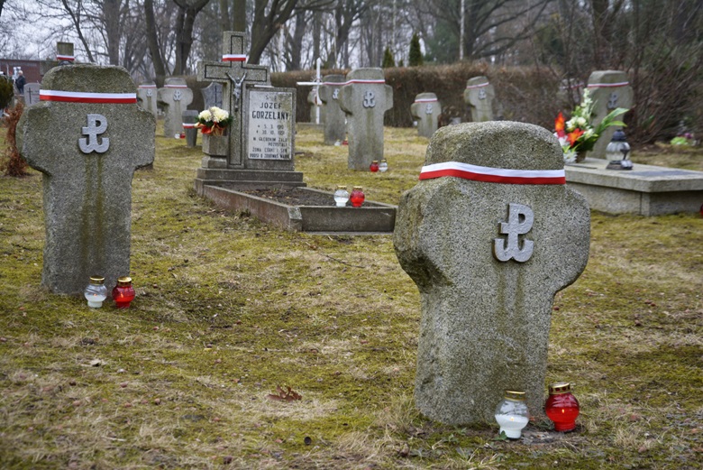 Obchody we Wrocławiu