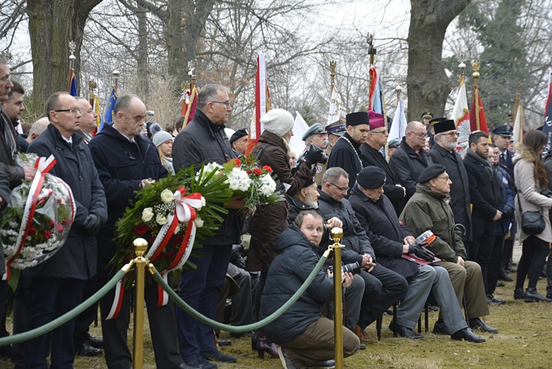 Obchody we Wrocławiu