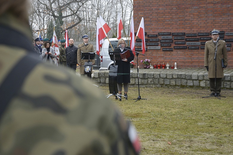 Obchody we Wrocławiu