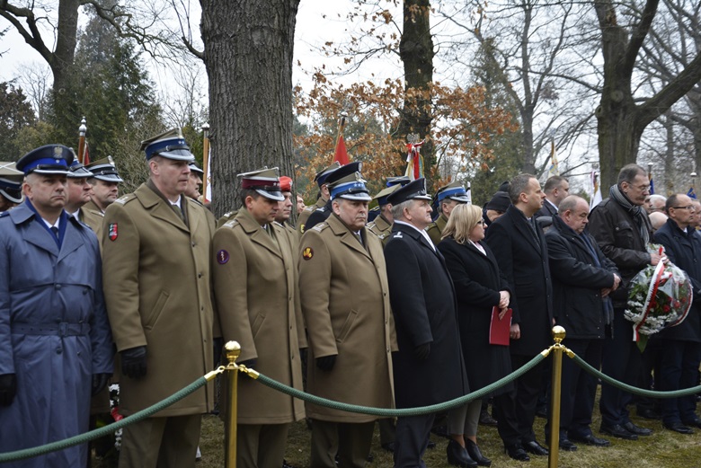Obchody we Wrocławiu