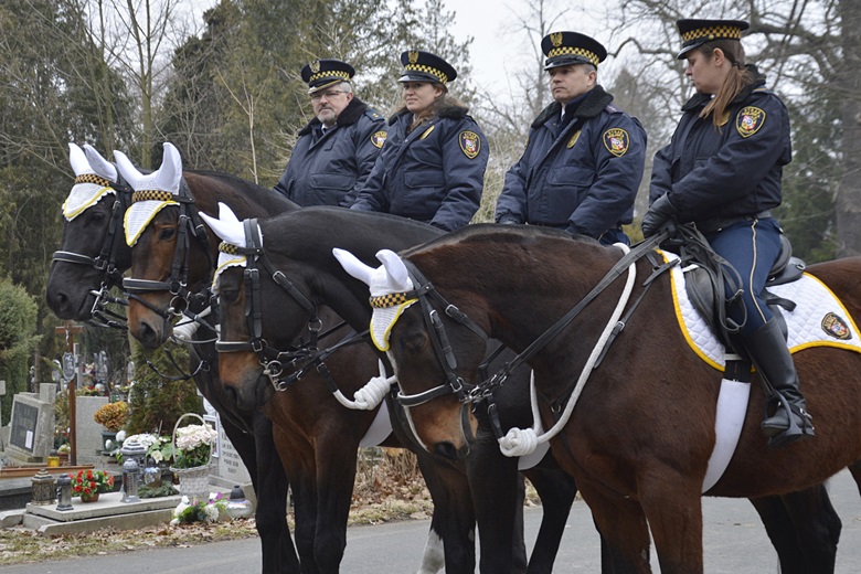 Obchody we Wrocławiu